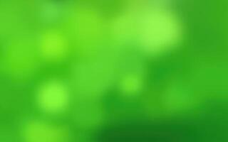 Vibrant green backdrop with soft bokeh effect creating a serene atmosphere in nature photo