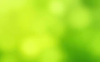 Lush green blurred background with soft light creating a tranquil atmosphere in nature's embrace photo