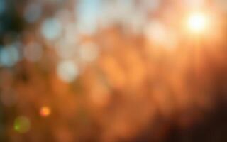Natural sunlight filters through warm autumn foliage creating a soft, blurred background of orange and gold hues in a tranquil setting photo