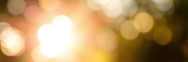 Beautiful golden bokeh lights creating a warm atmosphere during a sunset in a serene outdoor setting photo