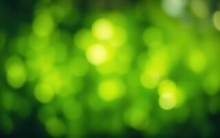 Vibrant green bokeh creates a soothing atmosphere in a sunlit forest during a peaceful summer afternoon photo