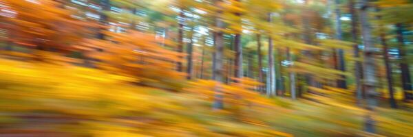 Vibrant autumn forest with trees in motion captured during a serene evening stroll in nature photo