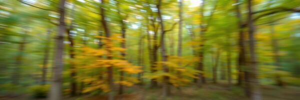 Vibrant autumn colors blur in a serene forest during a sunny afternoon in late October photo