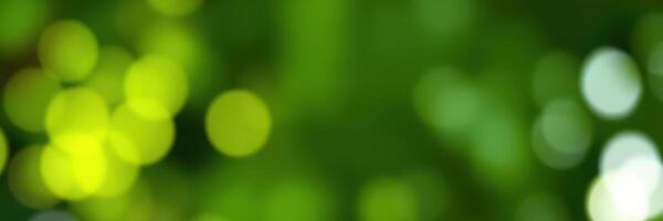 Soft green bokeh background creates a calming atmosphere in a natural setting photo
