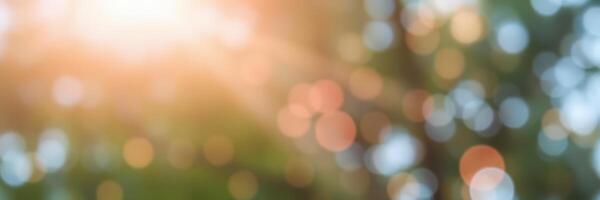 Sunlight filtering through trees creates a beautiful bokeh effect in a serene outdoor setting photo
