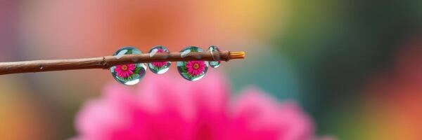 Water droplets on a branch reflecting colorful flowers against a blurred background photo