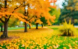 Vibrant autumn colors transform a park with golden leaves and blurred scenery during a sunny afternoon photo