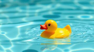 Bright yellow rubber duck floating on the surface of a sparkling blue swimming pool during a sunny daytime photo