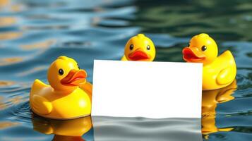 Three yellow rubber ducks floating together on a calm body of water with a blank card in the center photo