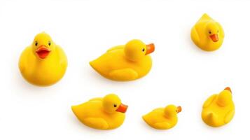 Colorful collection of playful rubber ducks in various sizes on a white background photo