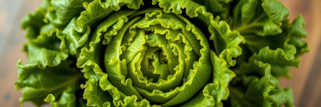 Fresh green lettuce displaying intricate layers and vibrant color, perfect for salads and culinary dishes in a kitchen setting photo