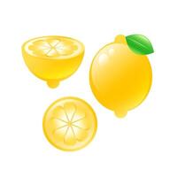 Illustration of a whole and cut lemon in a realistic 2D style. vector