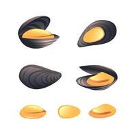Illustration of open mussel and closed mussel, mussel meat in realistic 3D style. vector
