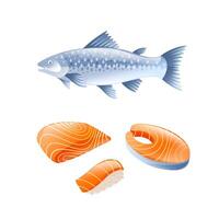 Illustration of salmon, salmon fillet, salmon steak and salmon sushi in realistic 3d style. vector