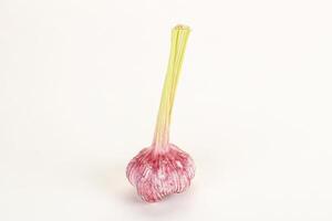 Young fresh garlic for cooking photo