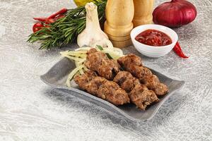 Beef kebab minced meat with onion photo