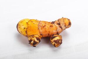 Fresh curcuma root for cooking photo