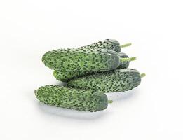 Fresh natural organic cucumbers heap photo