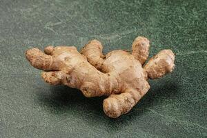 Ginger root for cooking and medicine photo