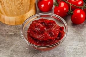 Red tomato paste in the bowl photo