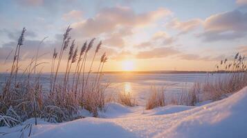 A snowy beach with a sunset in the background photo