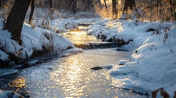 A stream of water is frozen over and the sun is shining on it photo