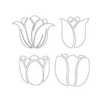 Tulip Flower Icons Outline Art On White Background vector