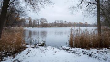 A snowy landscape with a lake and trees in the background photo