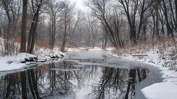 A snowy forest with a river running through it photo