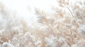 A field of snow covered grass with a few snowflakes in the air photo