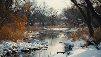 A snowy river with trees in the background photo