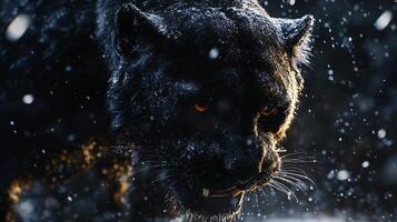 A black panther with its mouth open and teeth bared photo