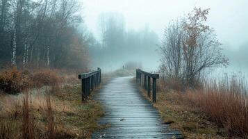 A bridge over a path in the woods with a foggy atmosphere photo