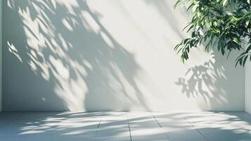 A white wall with a tree in the background and a shadow on the wall photo