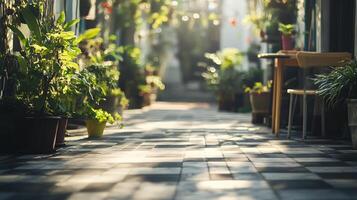 A path with a lot of plants and a table with a chair photo