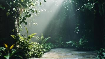 A path through a lush green forest with sunlight shining through the trees photo