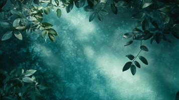 A leafy green background with a tree branch in the foreground photo