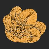 Yellow tulip blossom on dark gray background. Square design with a simple tulip flat design. Hand drawn fill only of a beautiful spring flower. No outlines. vector