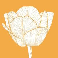 Square simple flat tulip illustration. Square design with a yellow side view tulip bloom on yellow background. The illustration is fill only with no outline, lines. vector