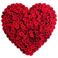 Show your love with a heart shaped arrangement of red roses. A timeless symbol of romance and passion for any occasion photo