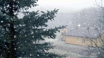 Aerial View of a Village Snowfall with a Green Christmas Tree video