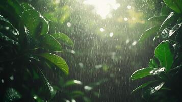 waterfall cascading over lush rainforest foliage droplets photo