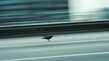 Motion Blur Photo of a Car Driving on a Highway