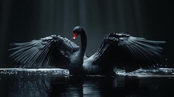 Mystic portrait of Black Swan, full body view photo