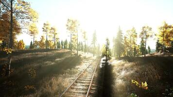 A beautiful sunset train journey through a picturesque forest video