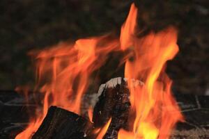 Fire Flames With A Black Background. photo