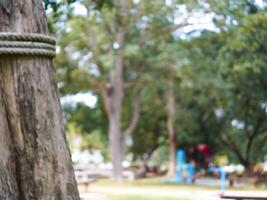 An old rope is tied in a knot to a large tree in the garden. A rope around the trunk of a tree. photo