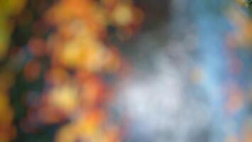 Blurred abstract autumn background photo