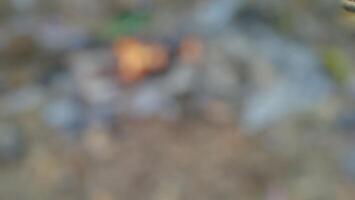 A close up of a fire pit with a small fire photo