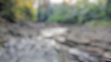 Abstract blurred background of a creek flowing through a lush forest. Nature, tranquility, serenity concept. photo